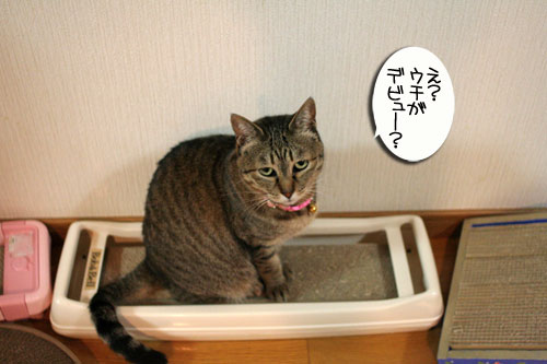 笑子がデビュー?!_d0355333_16454746.jpg