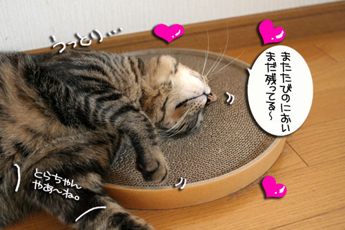 仲良く使ってよね_d0355333_16455554.jpg