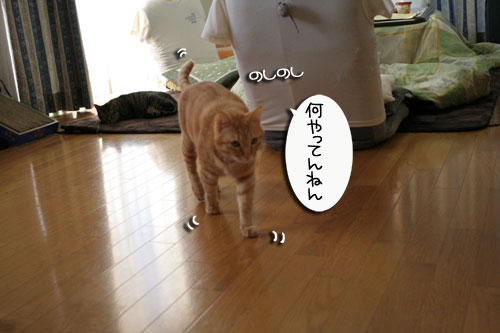 仲良く使ってよね_d0355333_16455644.jpg