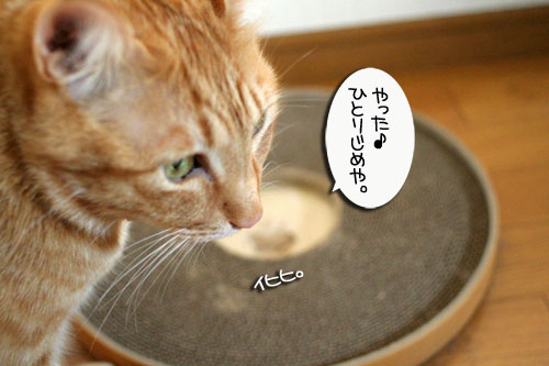 仲良く使ってよね_d0355333_16455897.jpg