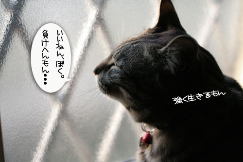 仲良く使ってよね_d0355333_16455969.jpg