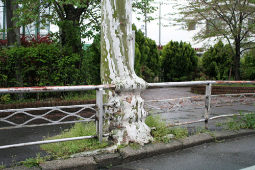 雨の京都にて_d0355333_16462597.jpg