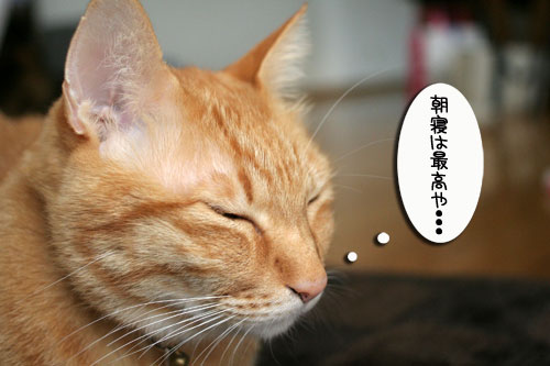 仲良しラブラブ_d0355333_16463139.jpg
