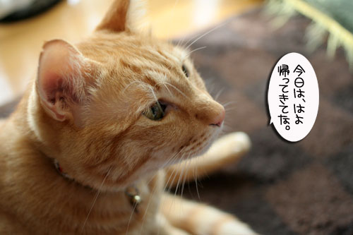 仲良しラブラブ_d0355333_16463384.jpg