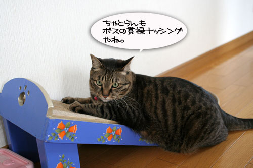 仲良しラブラブ_d0355333_16463425.jpg