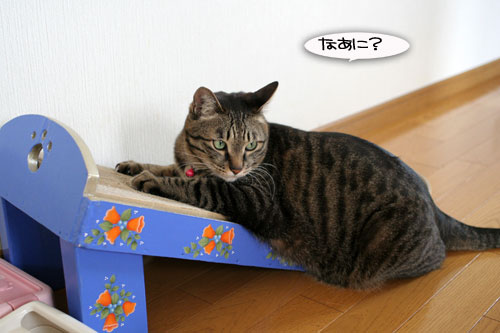 仲良しラブラブ_d0355333_16463432.jpg