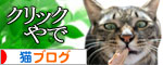 遅くなる日は、これでOK★赤ちゃん猫動画つき_d0355333_16463544.jpg