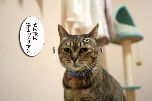 ヤバイ理由_d0355333_16465584.jpg