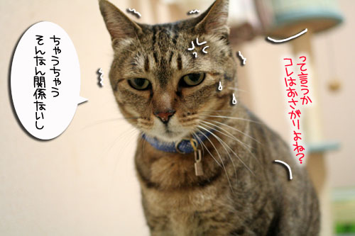 ヤバイ理由_d0355333_16465591.jpg
