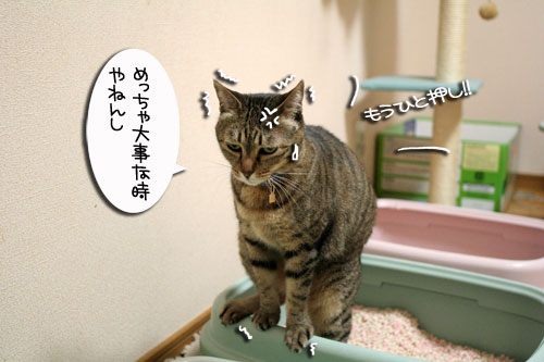 ヤバイ理由_d0355333_16465648.jpg