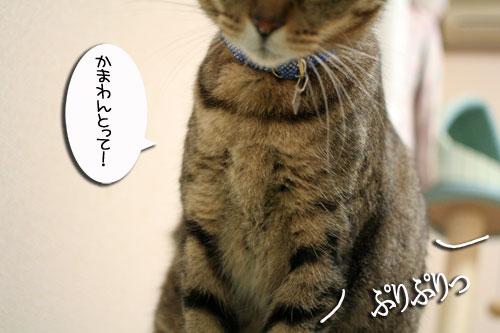 ヤバイ理由_d0355333_16465708.jpg