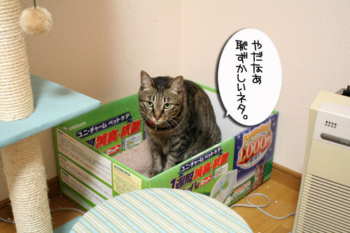 ヤバイ理由_d0355333_16465848.jpg