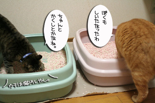 ヤバイ理由_d0355333_16465881.jpg