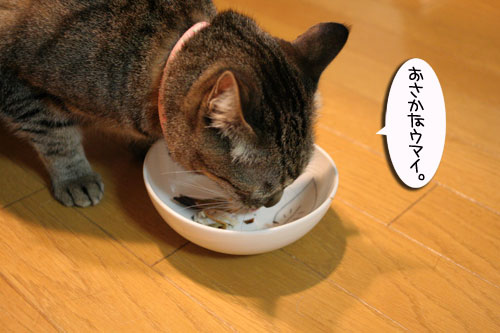 ハルさんの心訓と大阪行政HPが再開_d0355333_16470812.jpg