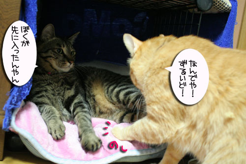 ハルさんの心訓と大阪行政HPが再開_d0355333_16471160.jpg