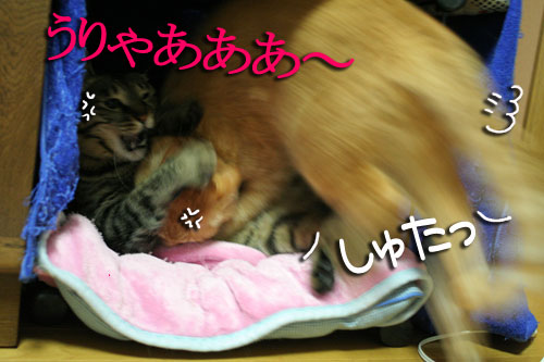 ハルさんの心訓と大阪行政HPが再開_d0355333_16471317.jpg