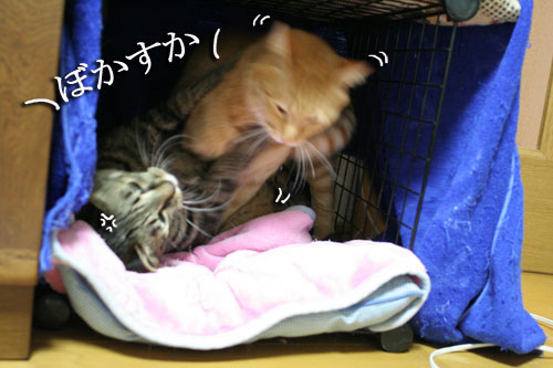 ハルさんの心訓と大阪行政HPが再開_d0355333_16471491.jpg