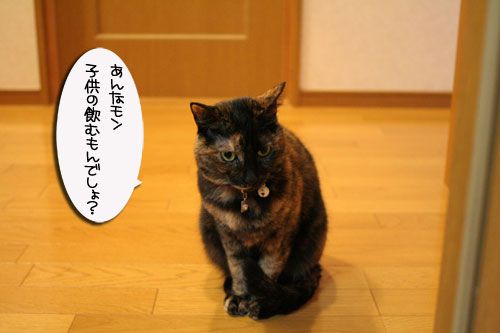 ナイトミルクの効用は?_d0355333_16471525.jpg