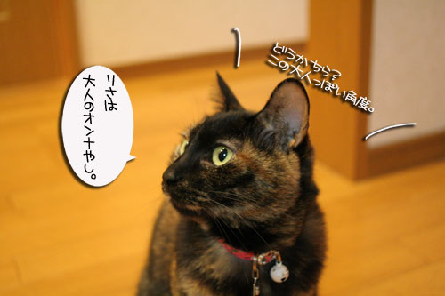 ナイトミルクの効用は?_d0355333_16471586.jpg
