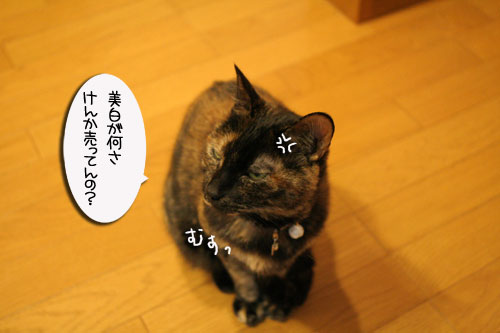 ナイトミルクの効用は?_d0355333_16471693.jpg