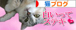 ナイトミルクの効用は?_d0355333_16472090.jpg