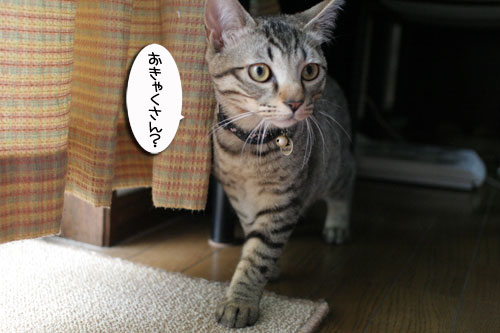 幸せなちびっ子たち_d0355333_16472513.jpg