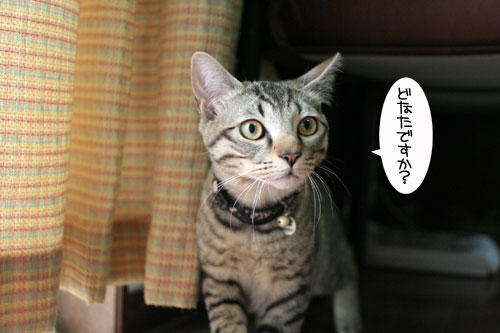 幸せなちびっ子たち_d0355333_16472591.jpg