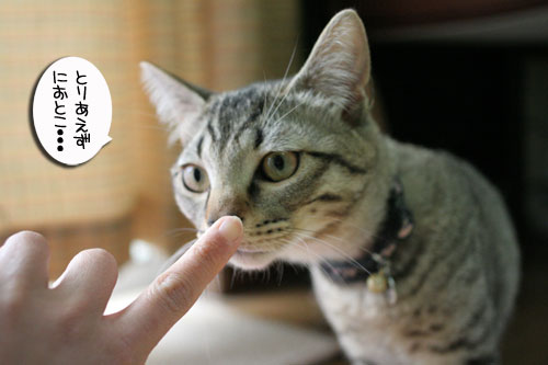 幸せなちびっ子たち_d0355333_16472613.jpg