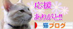幸せなちびっ子たち_d0355333_16473040.jpg