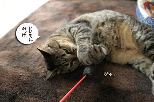 みんなで遊ぼうね_d0355333_16474275.jpg