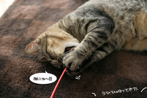 みんなで遊ぼうね_d0355333_16474302.jpg