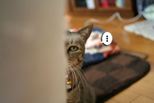 みんなで遊ぼうね_d0355333_16474627.jpg
