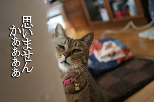 夢の中へ_d0355333_16474818.jpg