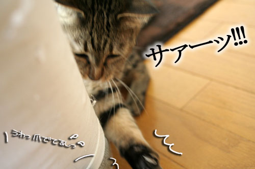 夢の中へ_d0355333_16475046.jpg