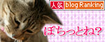 夢の中へ_d0355333_16475076.jpg