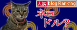 ピン芸猫から猫ドルへの道?_d0355333_16475457.jpg