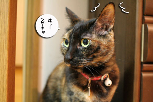 入っちゃダメぇっ!_d0355333_16480591.jpg