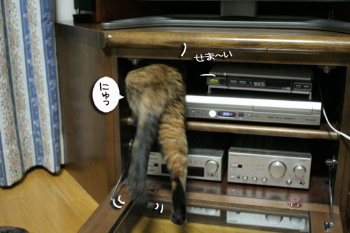 入っちゃダメぇっ!_d0355333_16480607.jpg