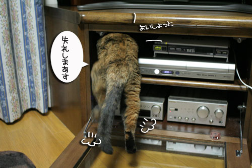 入っちゃダメぇっ!_d0355333_16480688.jpg