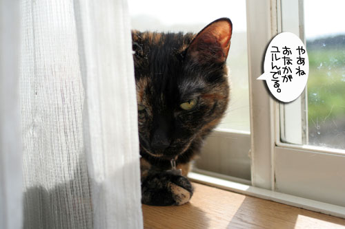 きれい好き・・・だけど。_d0355333_16481357.jpg