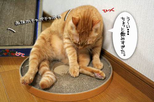 きれい好き・・・だけど。_d0355333_16481585.jpg