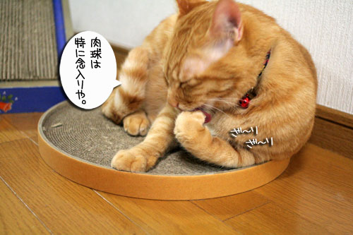 きれい好き・・・だけど。_d0355333_16481614.jpg