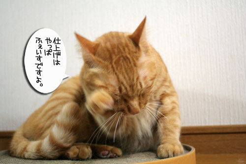 きれい好き・・・だけど。_d0355333_16481708.jpg