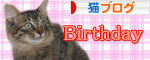 大ちゃん誕生日とマラソン_d0355333_16482040.jpg