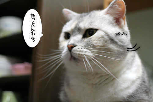大ちゃん誕生日とマラソン_d0355333_16482401.jpg