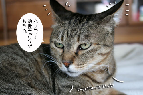 大ちゃん誕生日とマラソン_d0355333_16482556.jpg