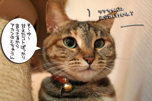 大ちゃん誕生日とマラソン_d0355333_16482620.jpg