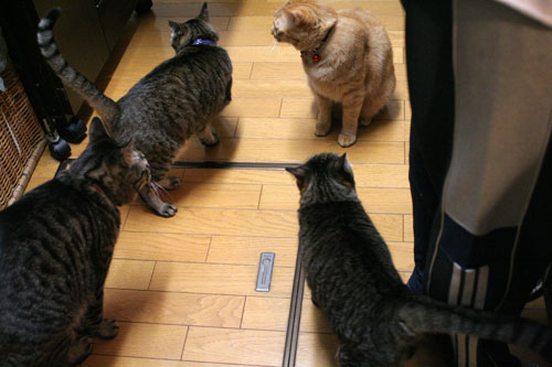 おいしいお顔は笑顔ね_d0355333_16482648.jpg