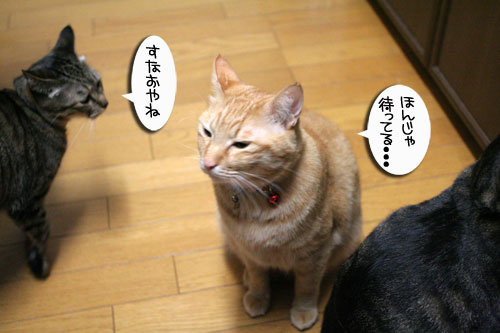 おいしいお顔は笑顔ね_d0355333_16482724.jpg