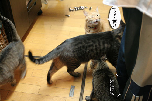 おいしいお顔は笑顔ね_d0355333_16482734.jpg